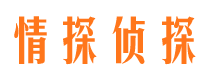 洪江侦探公司